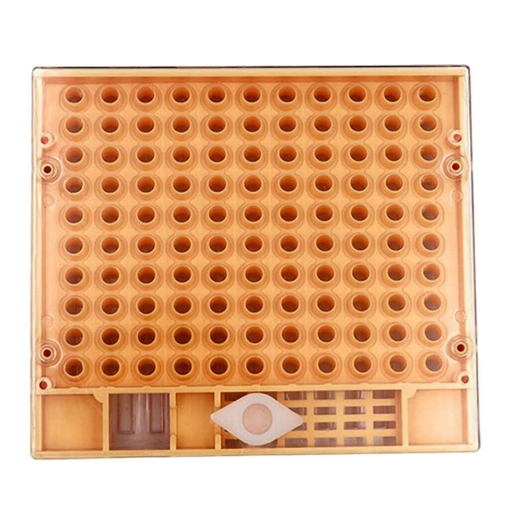 Beekeeping Bee Keeper Tools Breeding Queen Bee Cupkit Box System Beekeeping