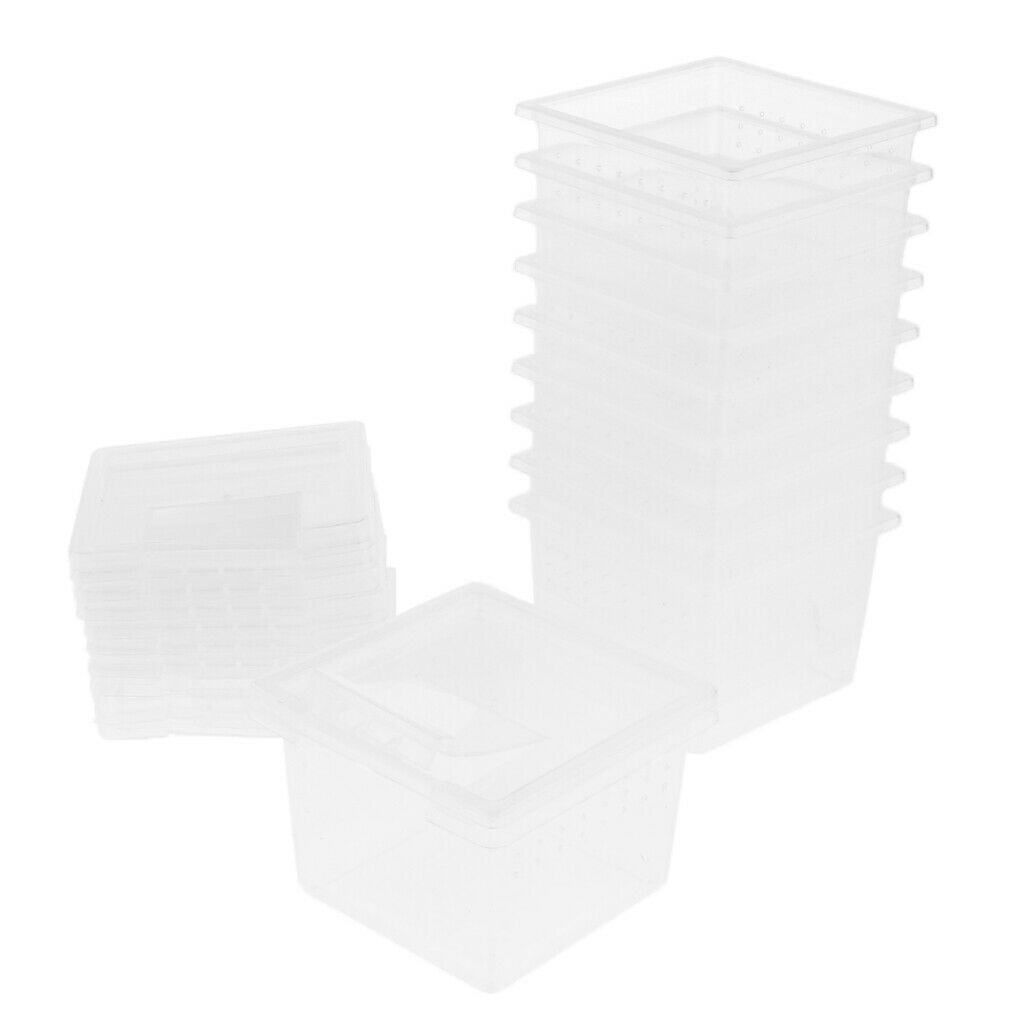 60pcs Reptile Lizards Feeding Box Turtle Feeding Box For Reptile Snakes
