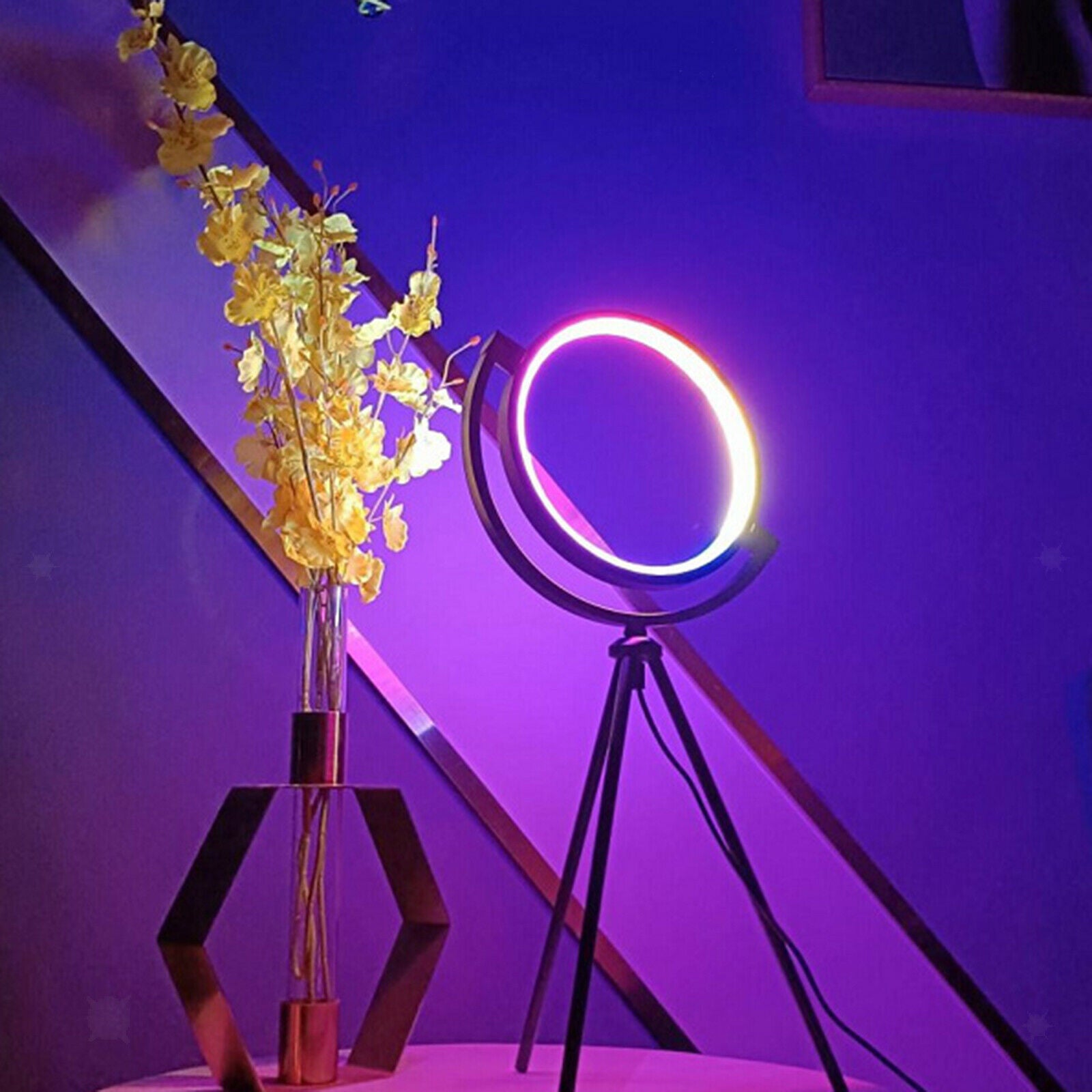 10" LED Ring Light with Stand Dimmable Desk Video Makeup Photography Makeup