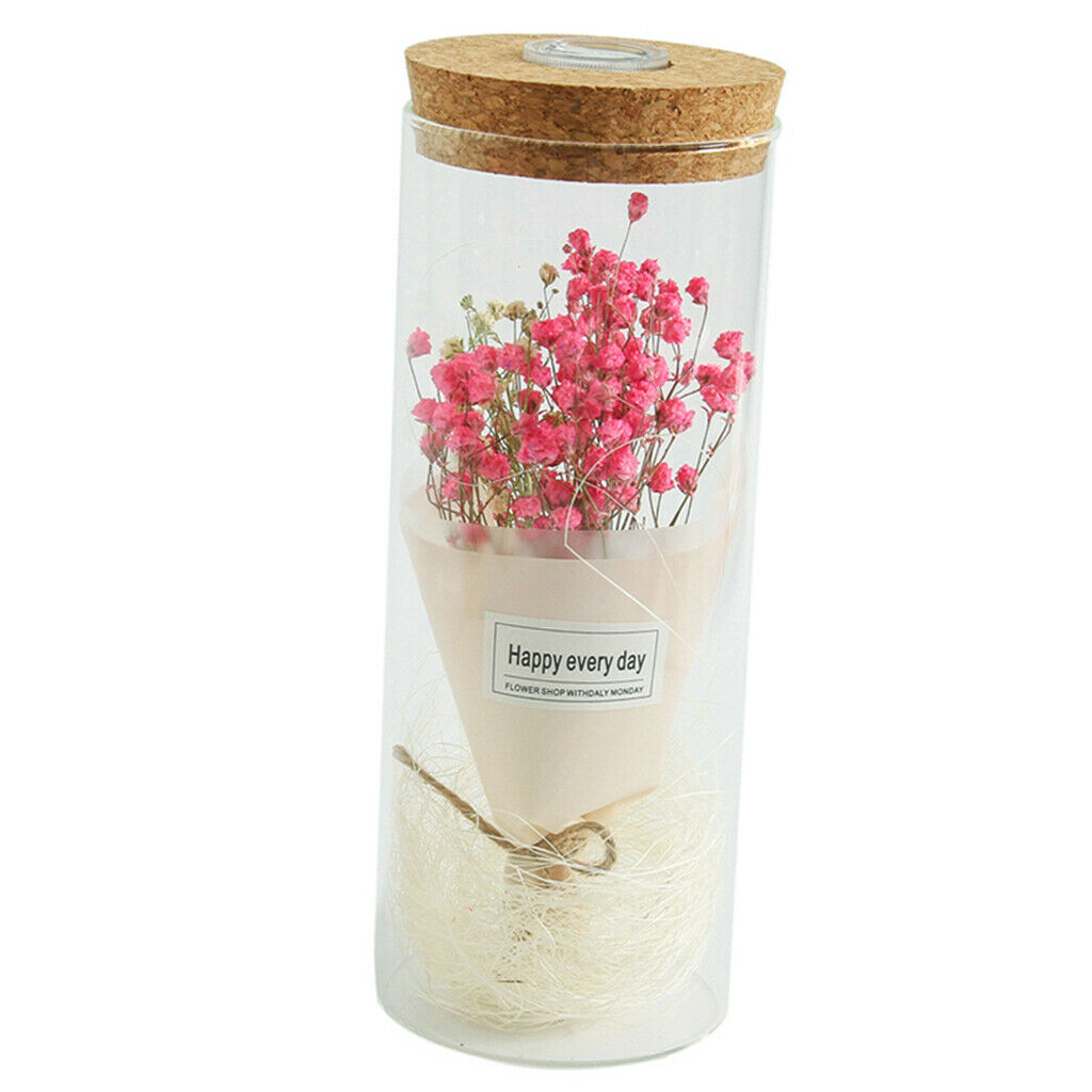 Creative Gypsophila Flowers Glass Jar Cover Landscape LED Light Decor Pink