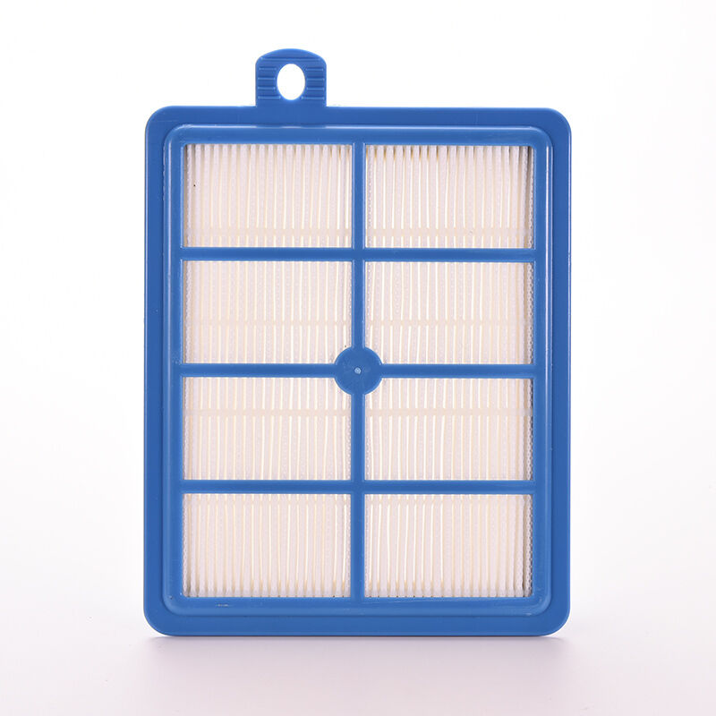 Hepa H12 H13 Filter fit for Electrolux Harmony Oxygen Oxygen3 Canister Vacuum IE