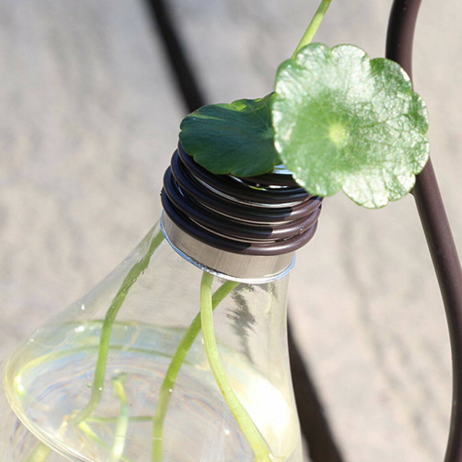 Glass Planter Shelf Bookcase Bulb Vase Stable Bird Terrarium Home Decor