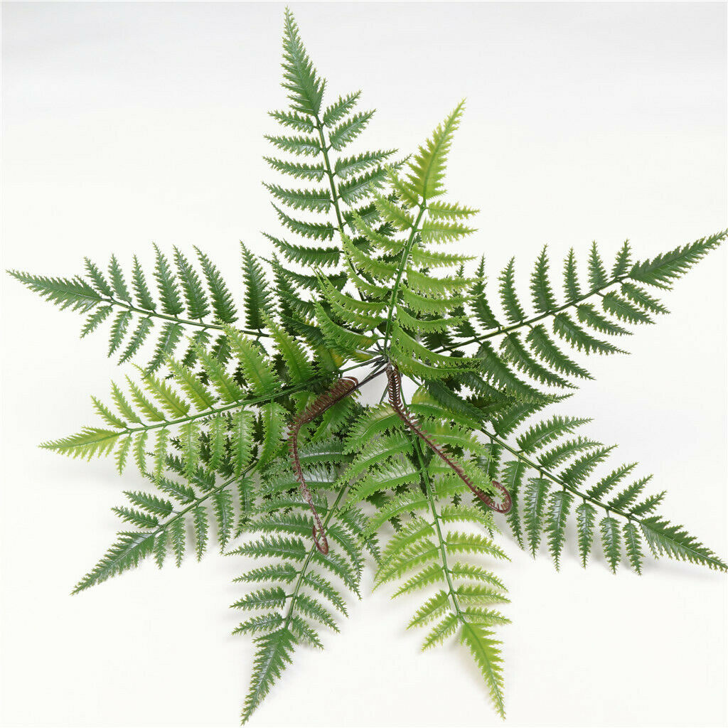 Natural Real Dried Leaves Press Dry Ferns Leaves for Nail Art Decor DIY
