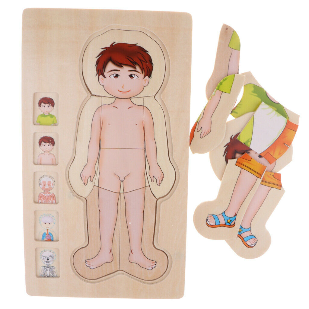 Wooden Puzzles for  Boys and Girls - 5 Layers Boy Body Structure Puzzle