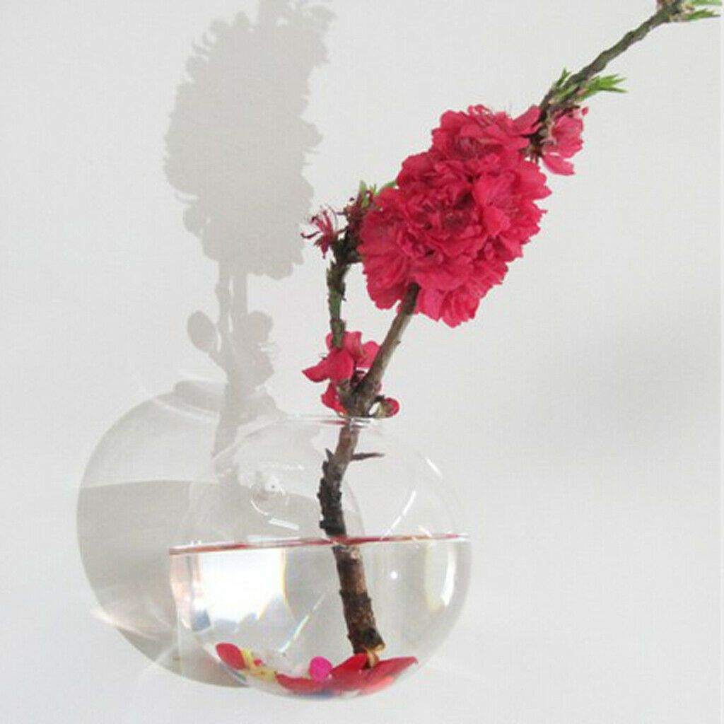 8 x Glass Hydroponic Pot Hanging Planter Flower Vase Wall Art Ornament