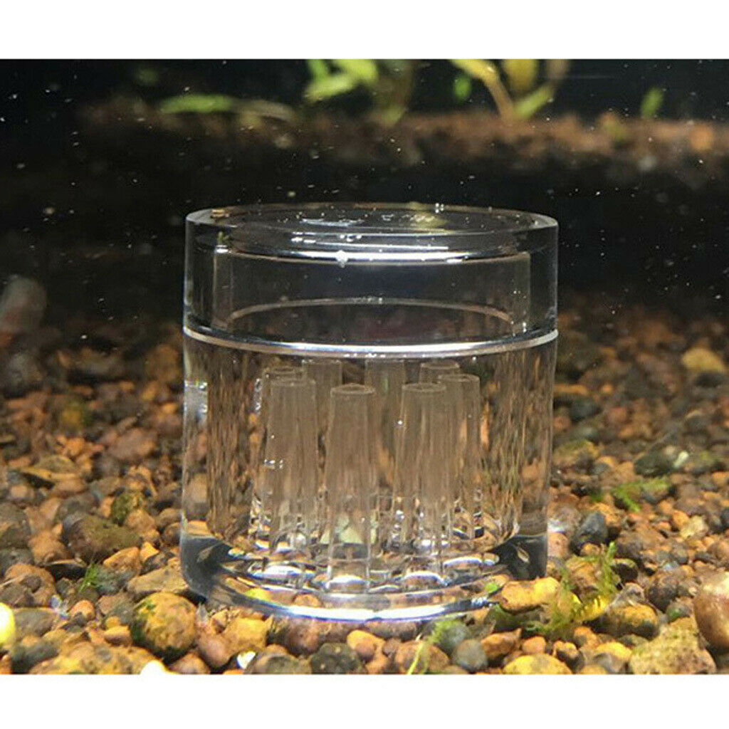 Planaria / Worm/ Leech - 8 Holes Plastic Aquarium Tank Catcher Trap Tube Trapper