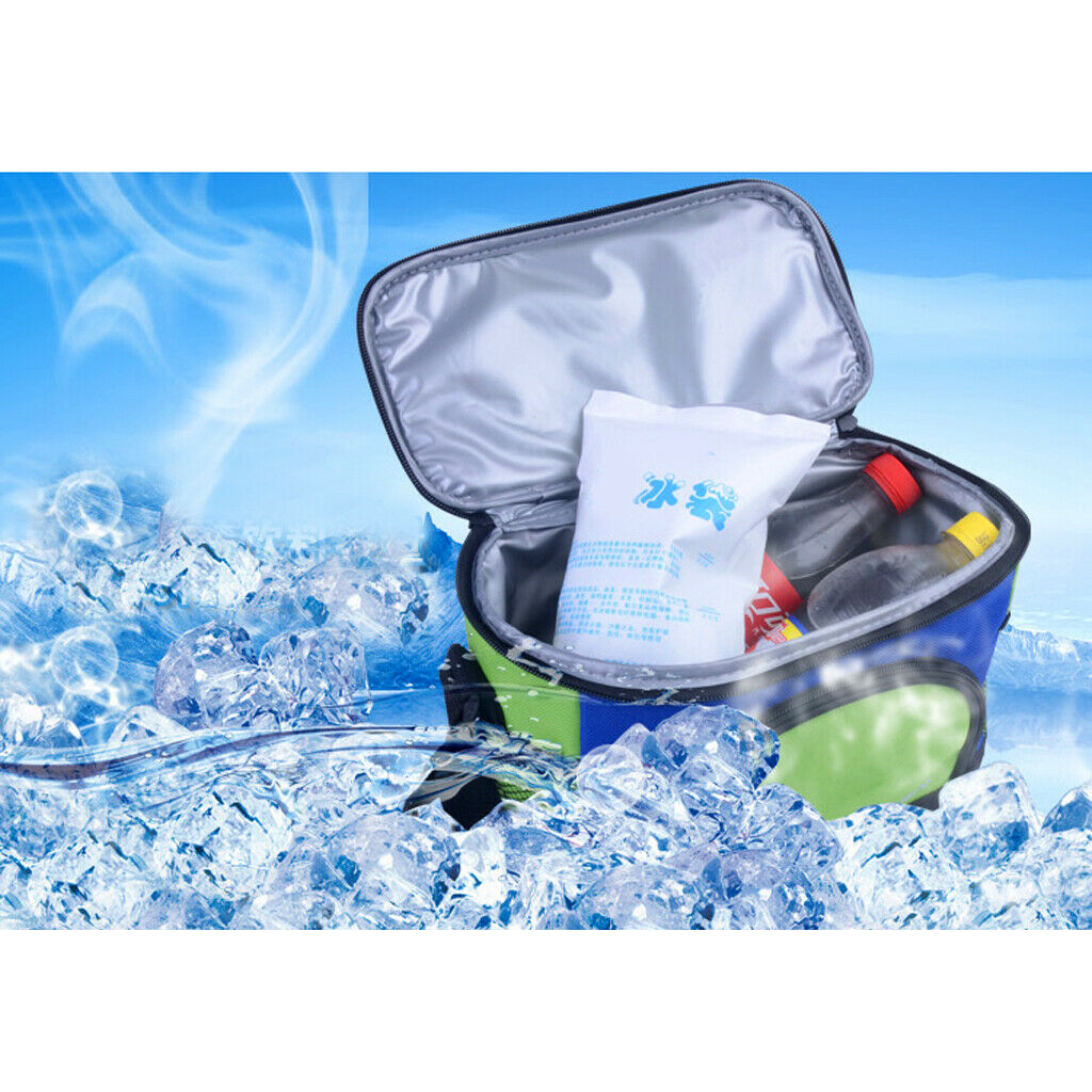 Insulated Lunch Box Cooler Bag Tote with Shoulder Strap Picnic green