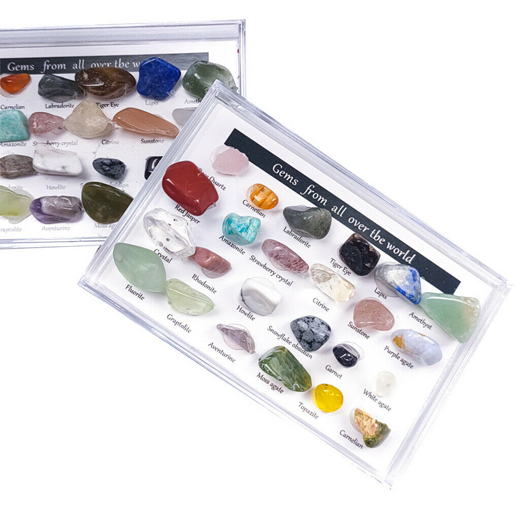 24x Rock Mineral Collection Set Mining Experimental Kit Science Geography