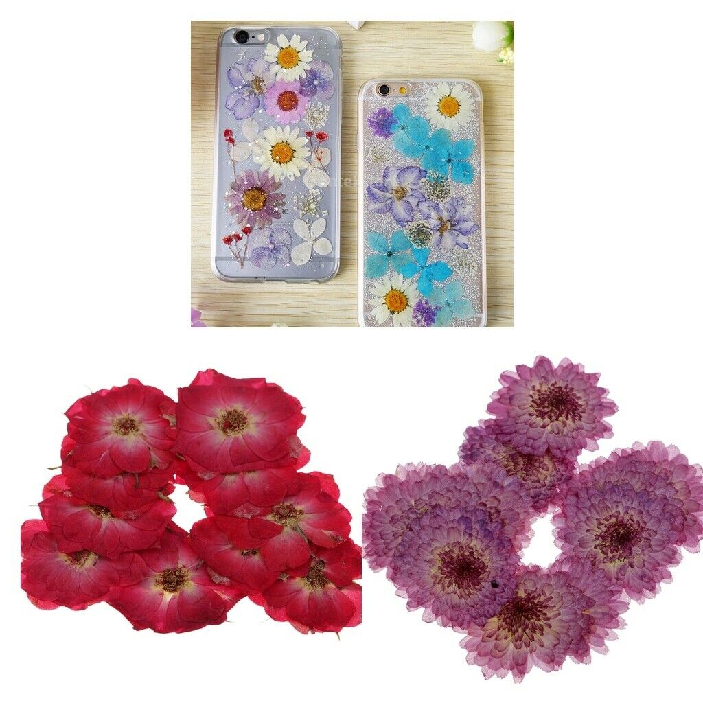 20 X Dried Pressed Flowers For Scrapbooking Card Making Arts Crafts Supplies
