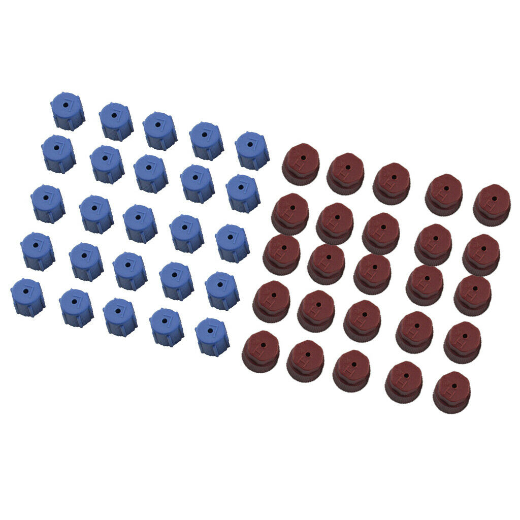 50 Pieces AC Charge Port Service Capsule R134a R12 13mm And 16mm Red Blue