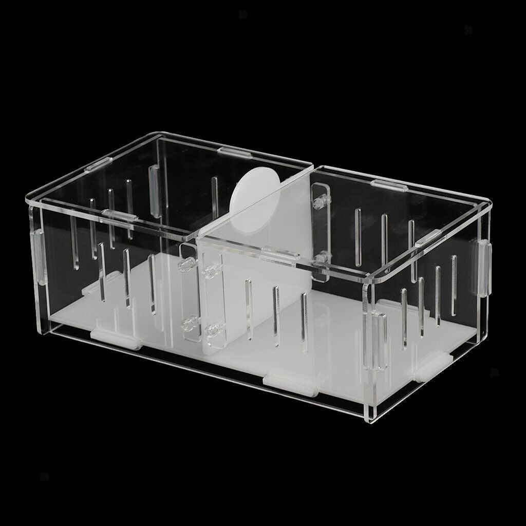 High Transparency Acrylic Reptile Cricket Cage, Fighting Box