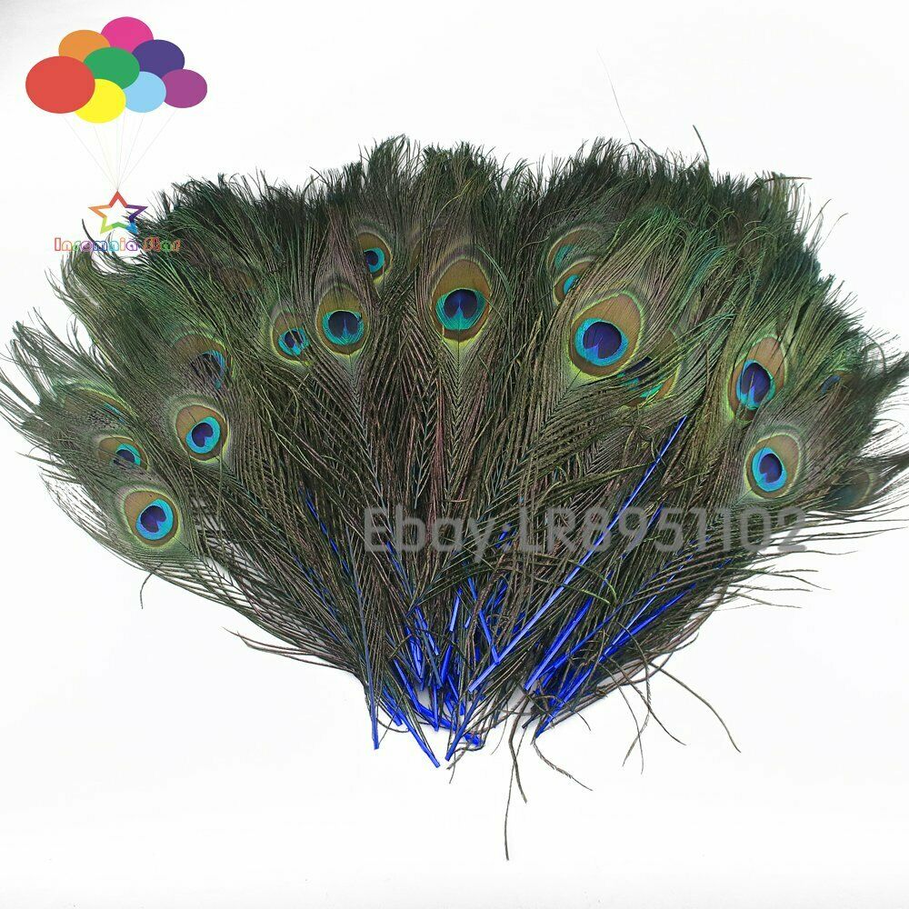 100PCS Sapphire Peacock Feather family wreath decorates material 25-30cm wedding