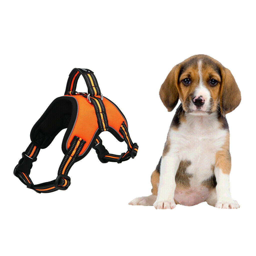 Pet Dog Puppy Harness Soft Adjustable Reflective Breathable Vest XL