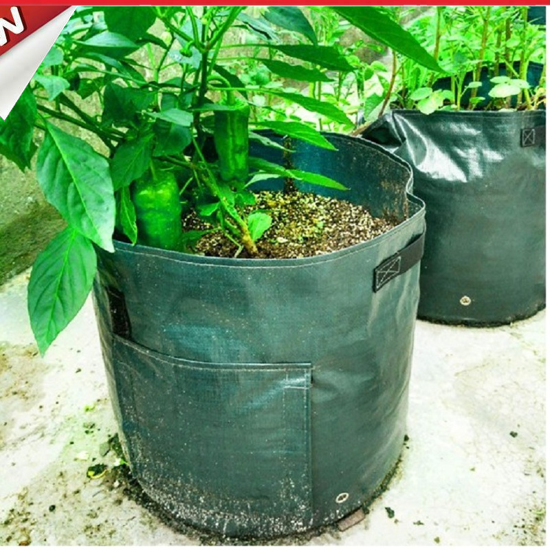 Reusable Vegetable Grow Bags 2pcs 10 Gallon Potato Grow Bags Plant Growing @