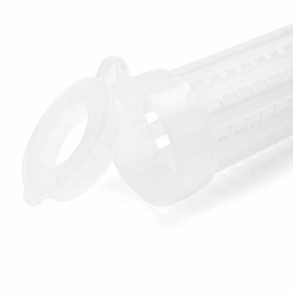 10 PCS Beekeeping Rearing Cup Kit Queen Bee Cages Beekeeper Equipment Tools