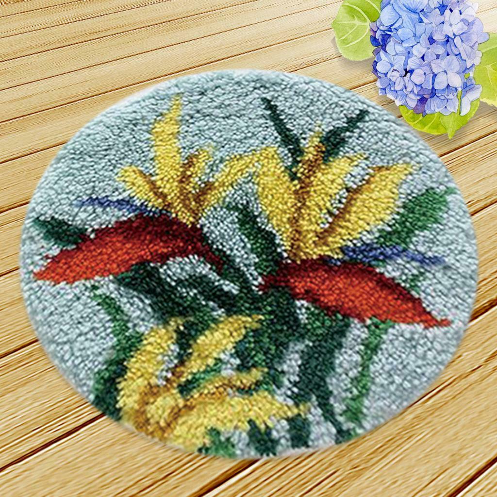 Latch Hook Rug Kit with Basic Tools Carpet Rug Embroidery Package Handicraft