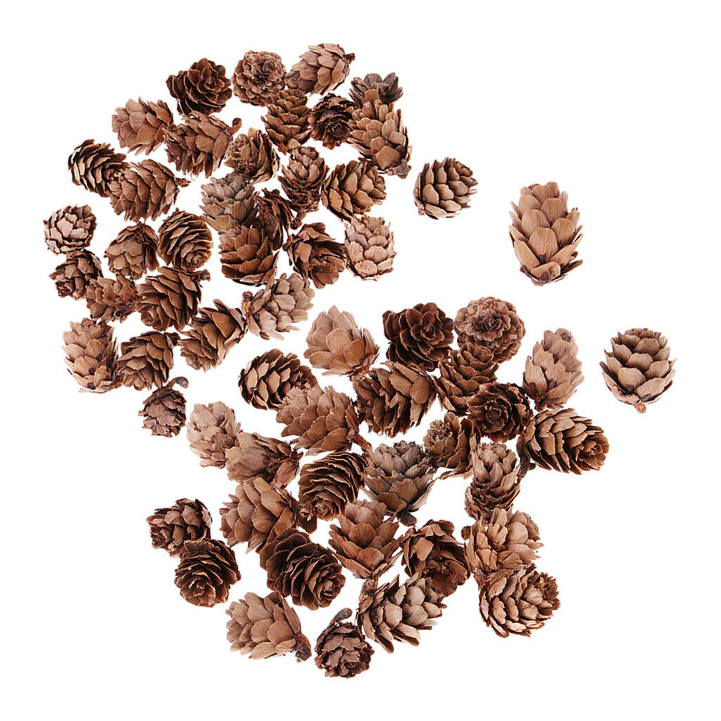 60x Mini Natural Dried Pine Cone Home Accents Ornament Christmas Decoration