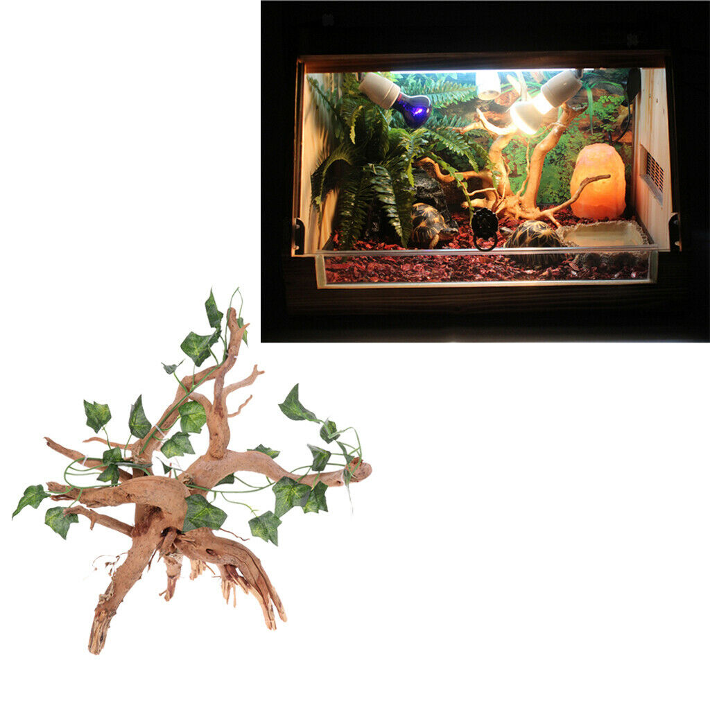 Reptile Cave Terrarium Climb Pet Hiding Shelter for Amphibians Decorative