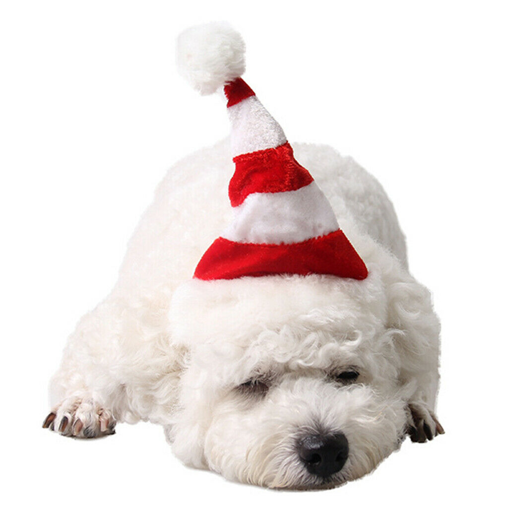 Pet Santa Hat   Christmas Party Accessory Dog Cat Costume for Small Pets
