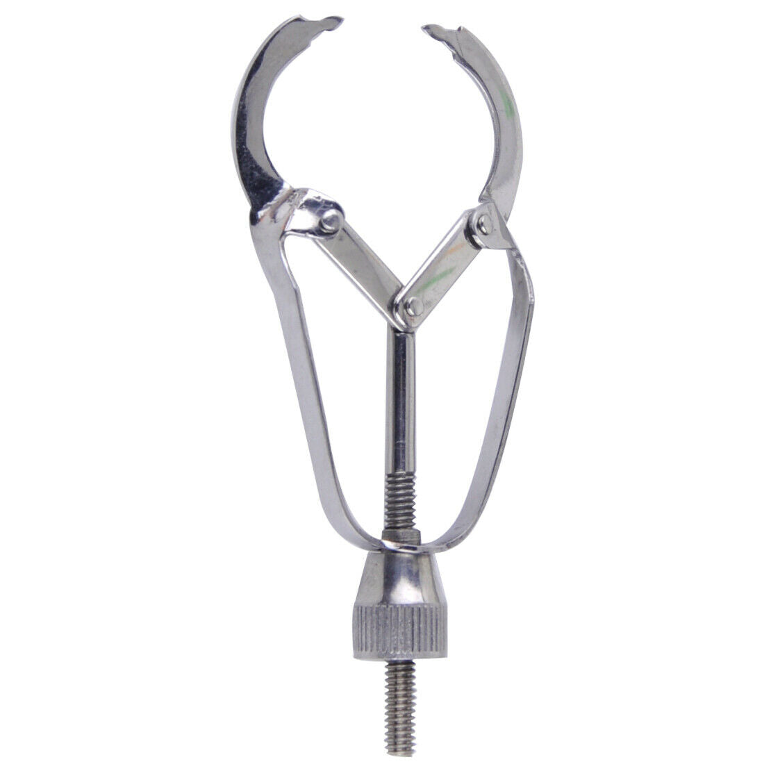Matrix Bands Retainer Tofflemire Stuck Formation Piece Clip Clinic Profession An