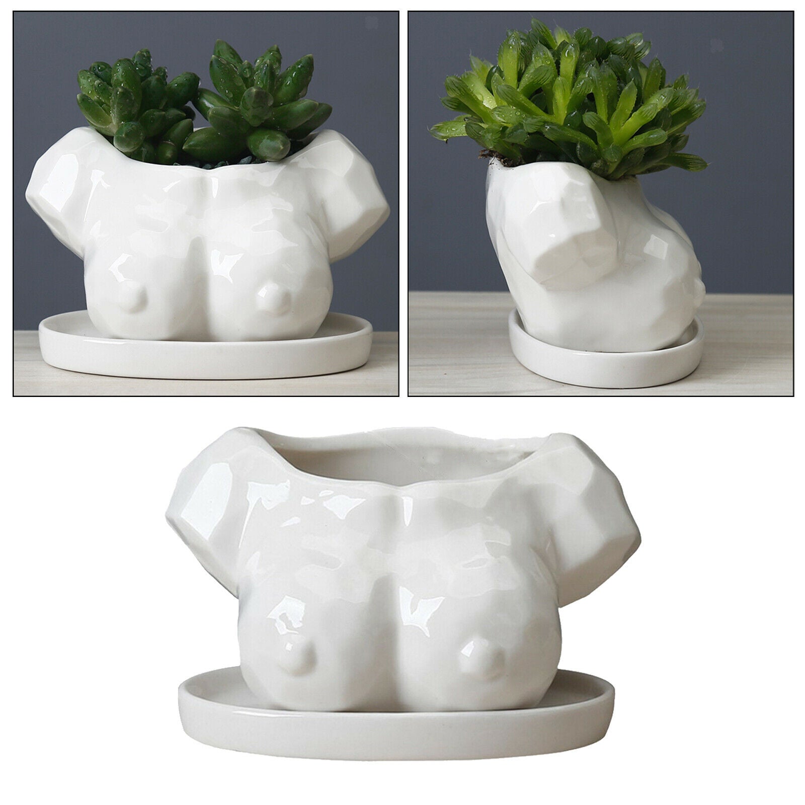 Flower Pots Ceramic Flowerpot Tabletop Decoration Succulent Planter Pot
