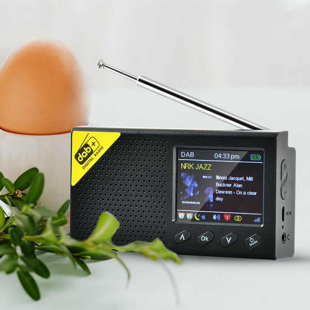 Home Portable DAB Digital Radio Mini FM Receiver Radios Bluetooth Speaker