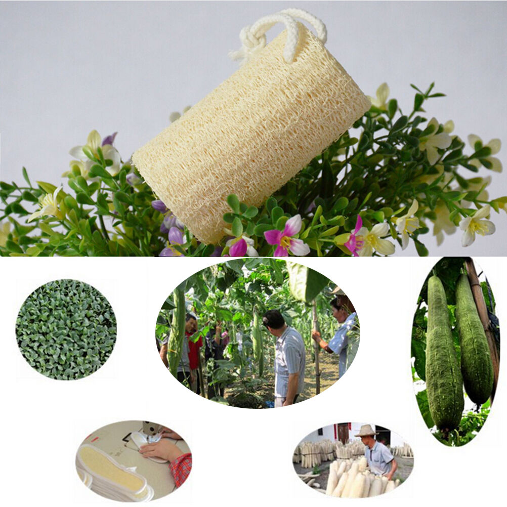 1X Natural Loofah Luffa Loofa Sponge Bath Shower Spa and Body Scrubbe.l8