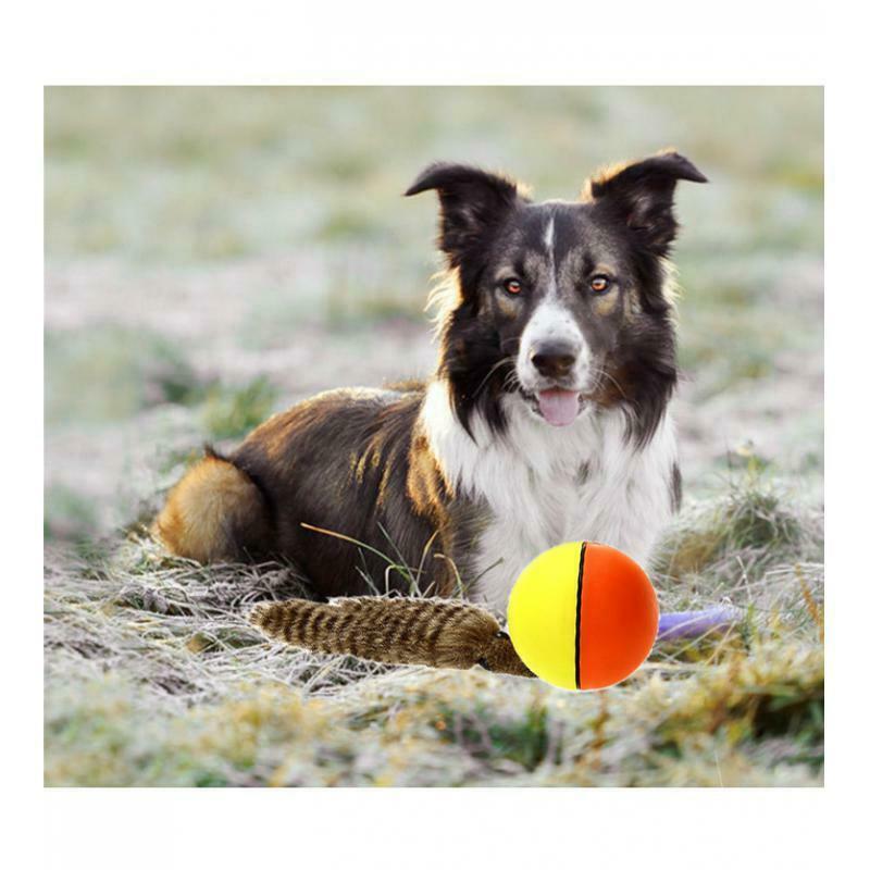 Pet Cat Teaser Toys Funny Pet Rolling Ball Training Toys For Kitty Playing
