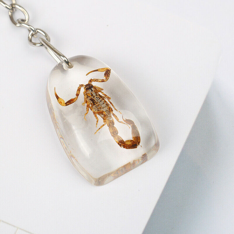 Artificial Amber Keychain Flat-Bottomed Water Drop Insect Specimen Key Pend DF