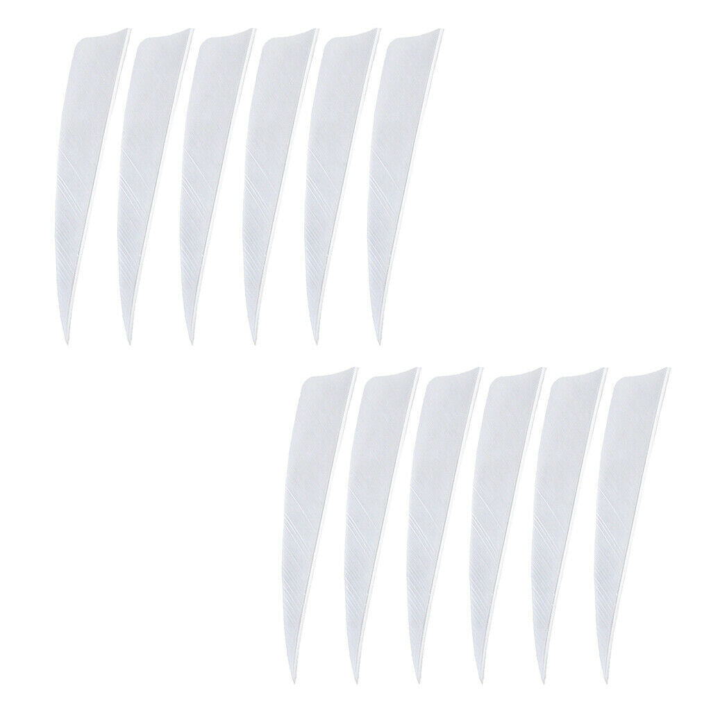 12 Pieces 4 Inch Archery Arrow Feathers Fletchings Vanes White