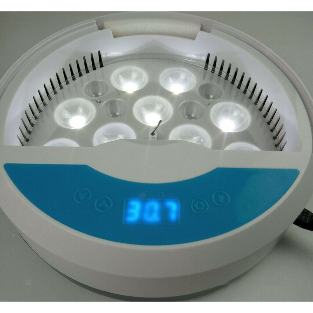 Digital Mini Fully Automatic Egg Incubator with Low Noise Ceramic heater, 9 Eggs