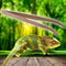 Angled Reptile Feeding Tongs Tweezers 28cm Bamboo Eco-Friendly Feeding Tool New