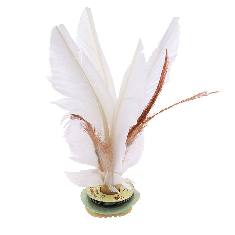 2pc China Jianzi Feather Shuttlecock For Fitness Entertainment Physical E.l8