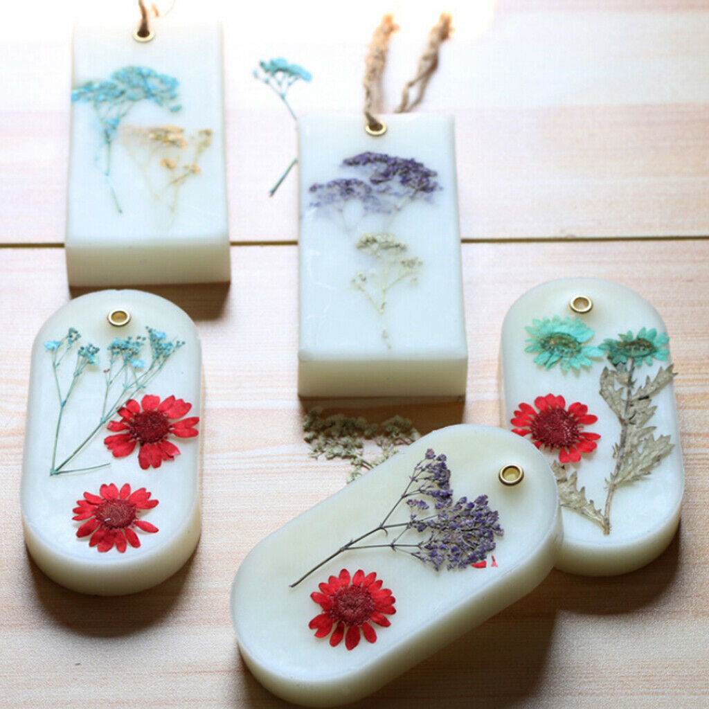 20  Coreopsis Dried Flower Embellishment For DIY Phone Case Decoration
