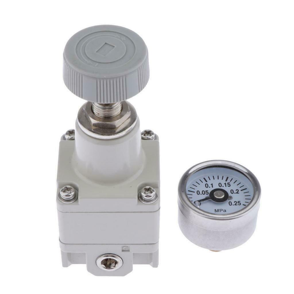 IR1000-01 1/8" Precision Air Pressure Regulator Reducing Valve w/ Gauge