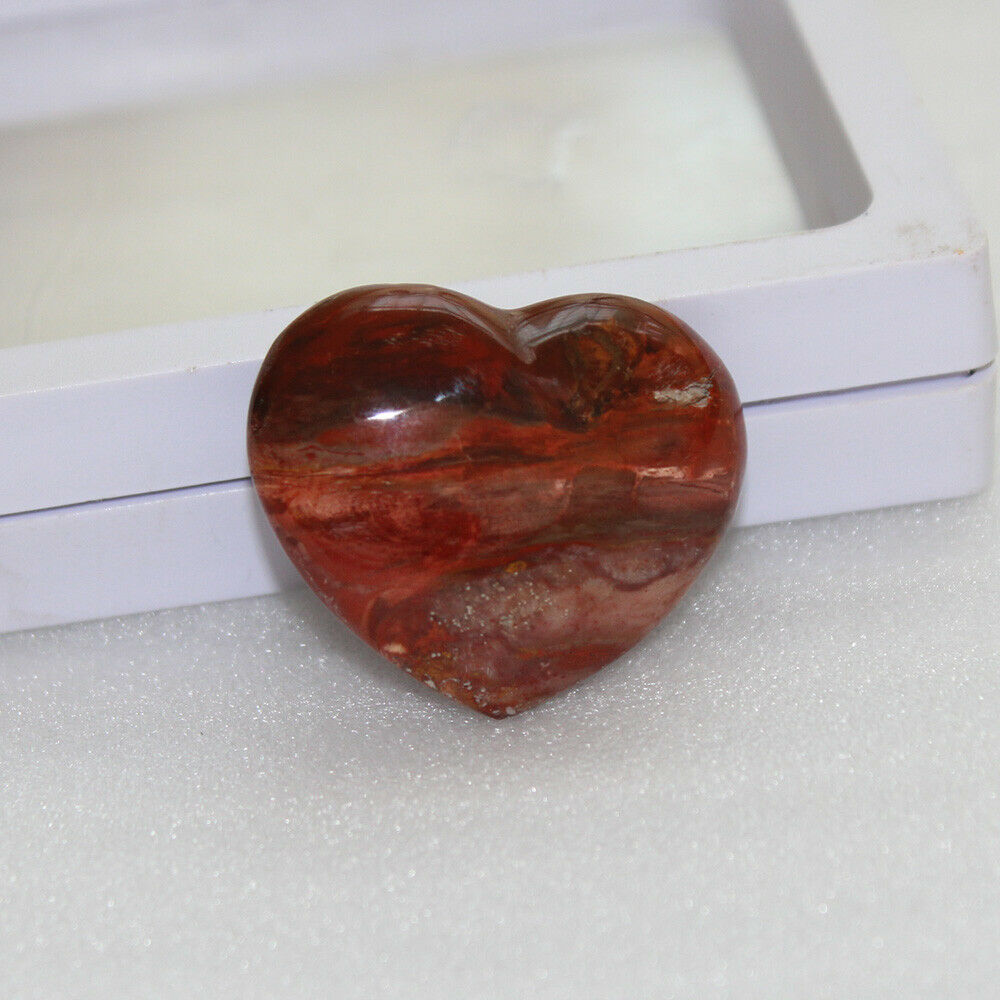 1PC Natural Red Petrified Wood Heart Fossilized Crystal Agate Mineral Madagascar