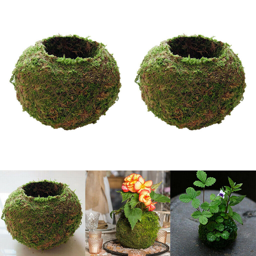 2pcs Moss Flower Pot Succulent Planter Container Garden Decoration 15cm/5