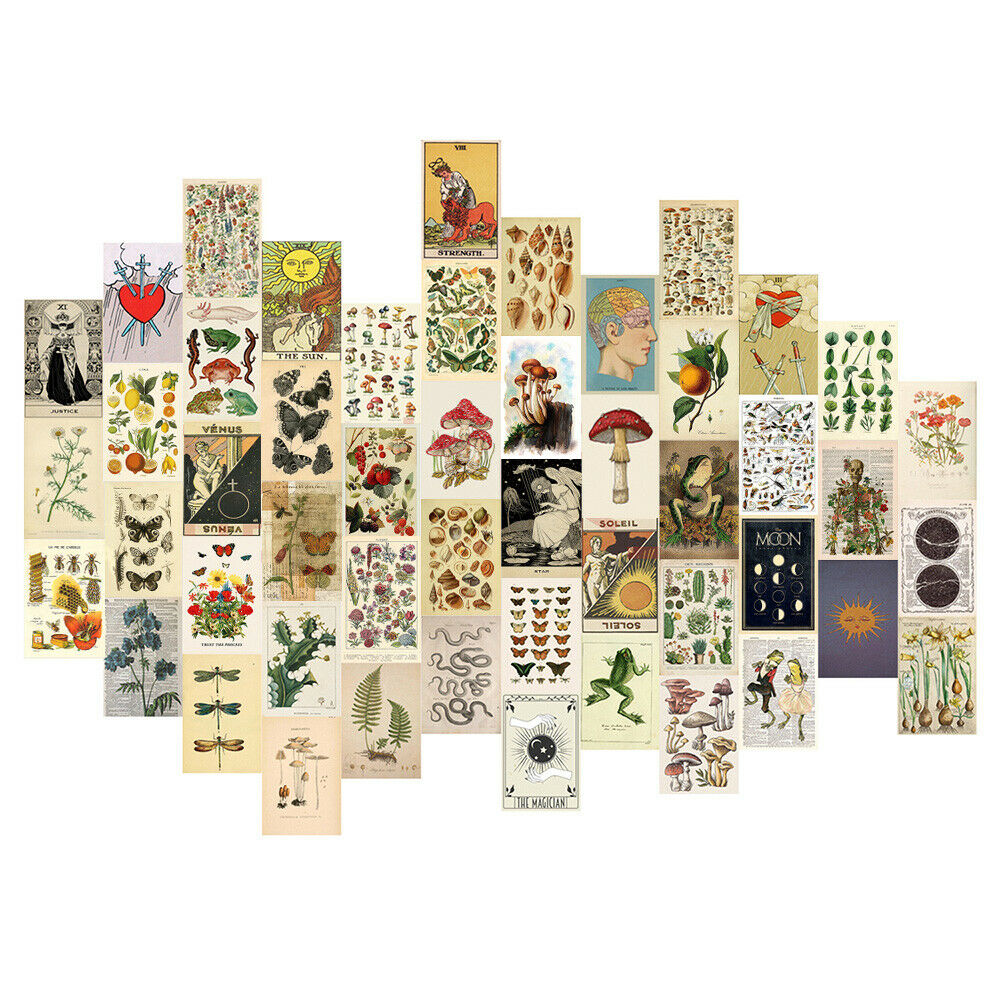 50Pcs Plant Flower Series Art Aesthetic Poster Postcards Wall Collage Background