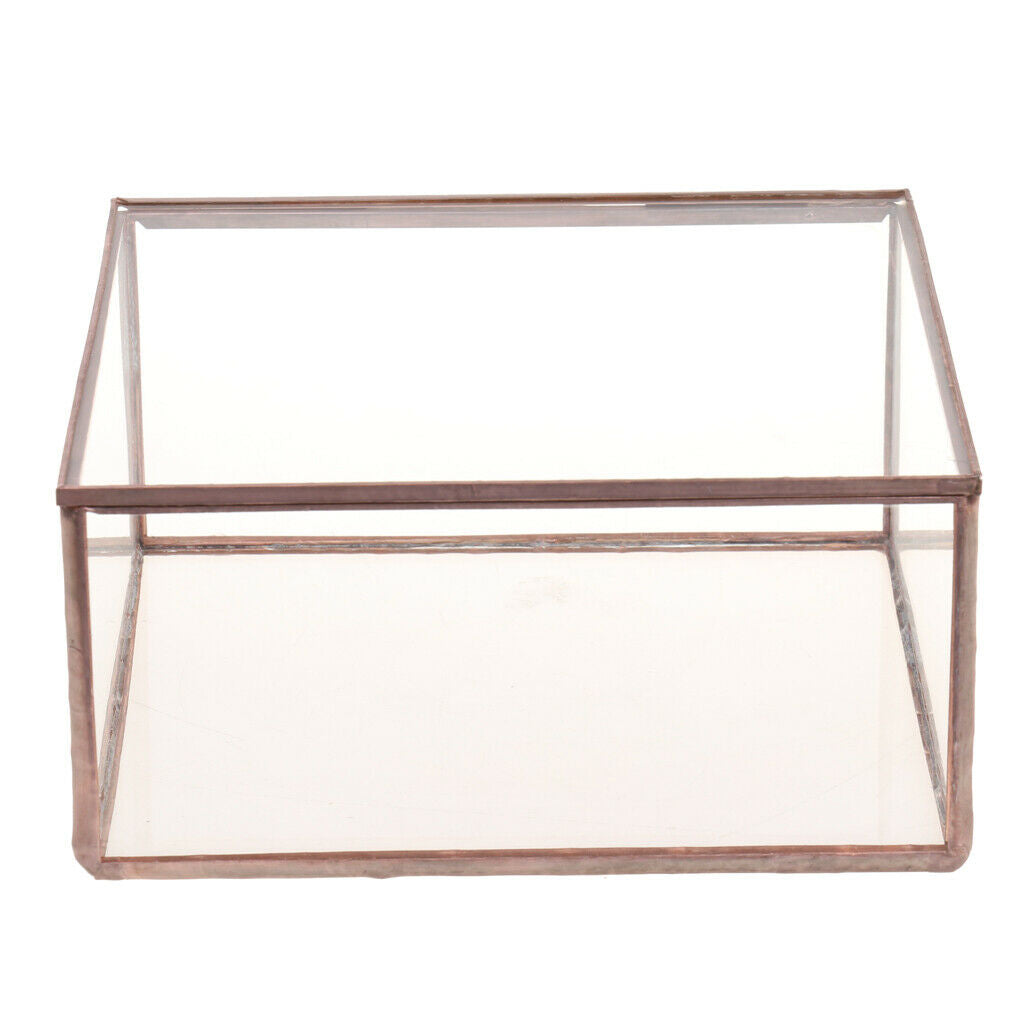 Geometric Glass Jewelry Box Tabletop Terrarium Plant Succulent Planter Box L
