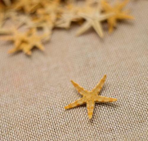 125+ TINY TAN FLAT WEDDING STARFISH SEASHELL # TTSF-125