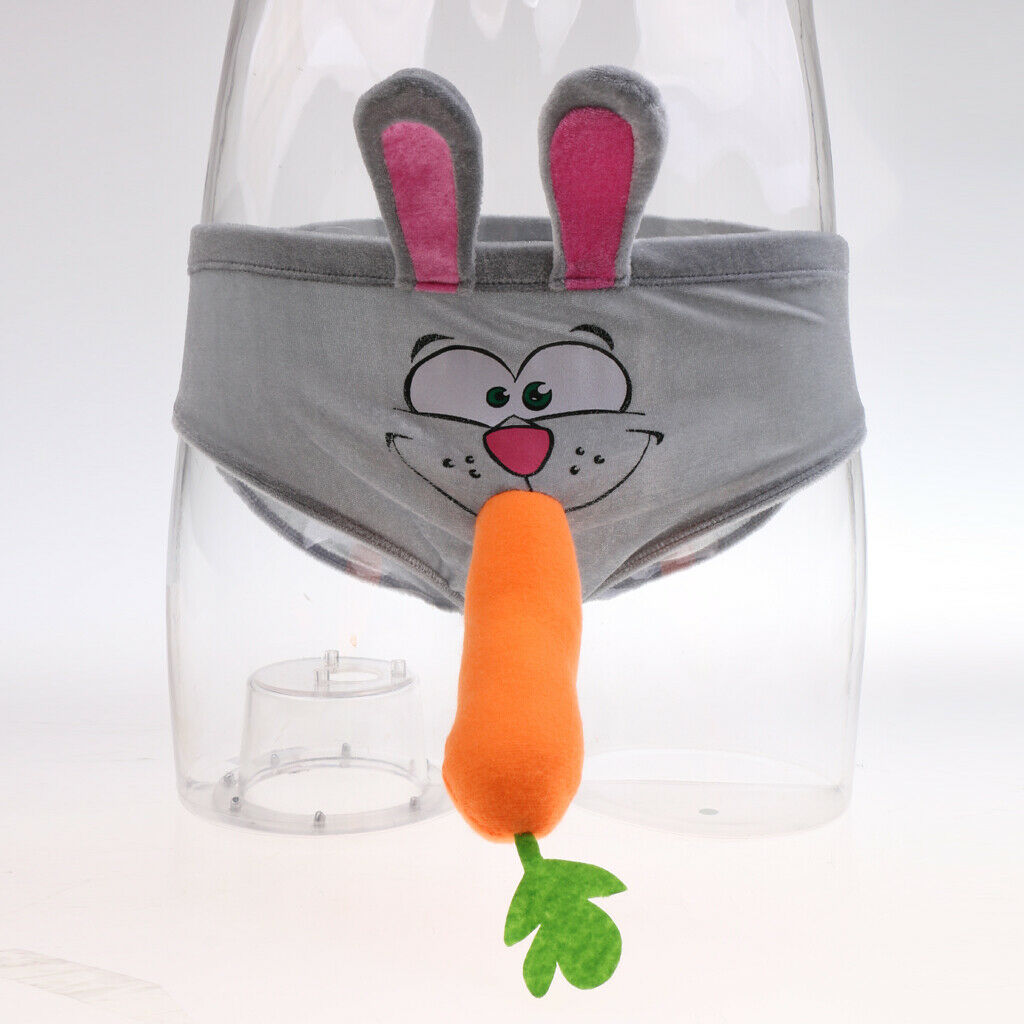 Funny Sexy Slip Rabbit Carrot Costume Male  Party