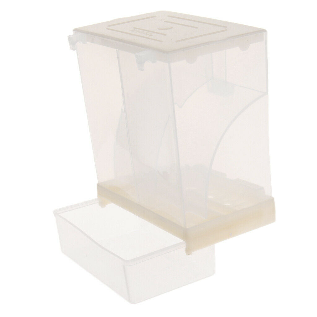 Automatic Poultry Feeder for Bird, Plastic Food Container for Parrot Pigeon