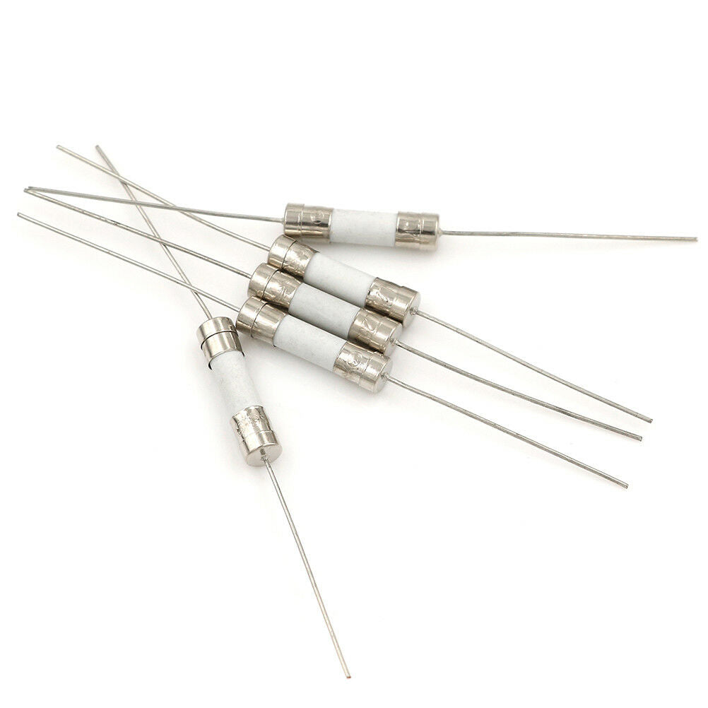 5Pcs 10A 250V ceramic body time-lag axial lead fuse for lcd-tv etc 5*20mm B WF