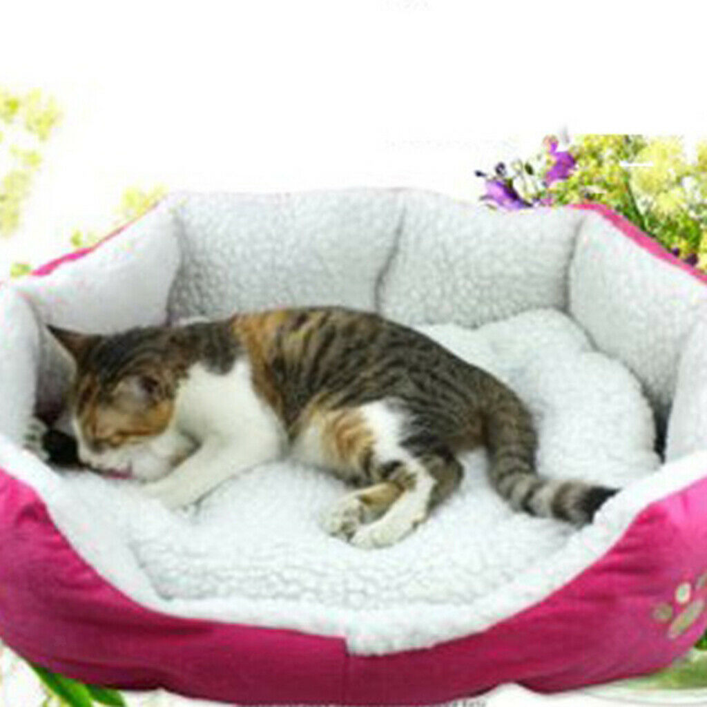 Warming Pad Dog Bed Cuddler with Removable Cover Small Size for Cats Dogs Rose