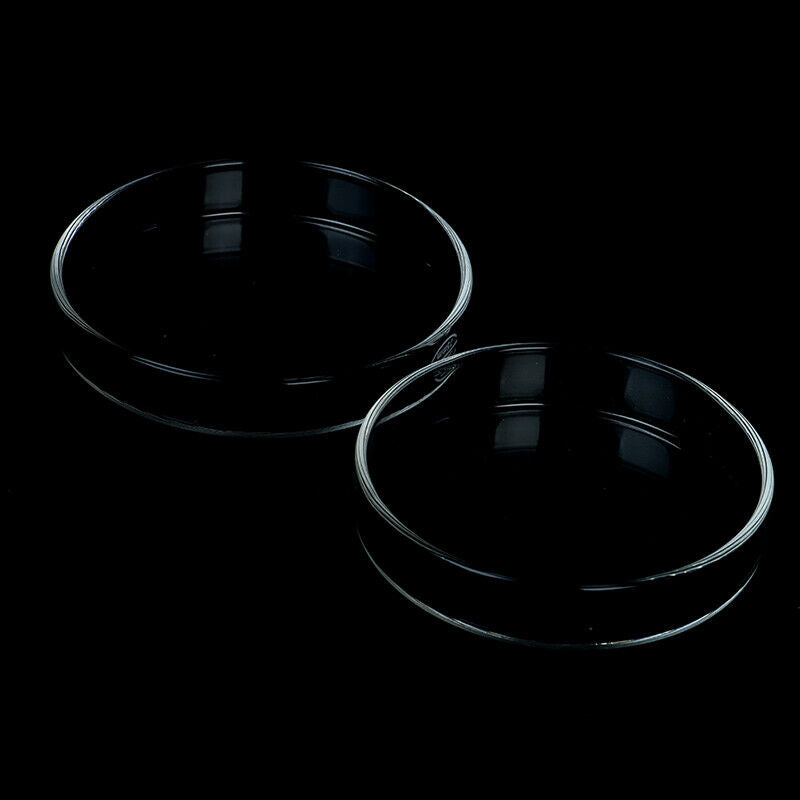 Clear Glass Shrimp Feeding Food Dish Feeder Tray Round Container Aquari.l8