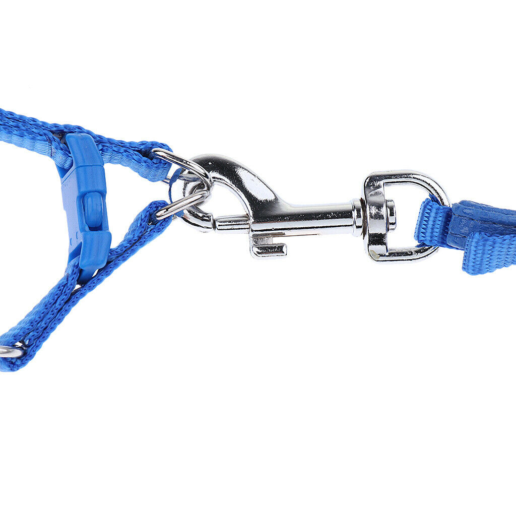 Lightweight Parrot Bird Leash Rope Comfortable Birds Bird Pocket Nappy Easy to
