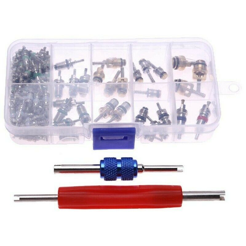 102pcs R134A Car Air Conditioning A/C Valve Core Valves+2 Removal Tools L6K2