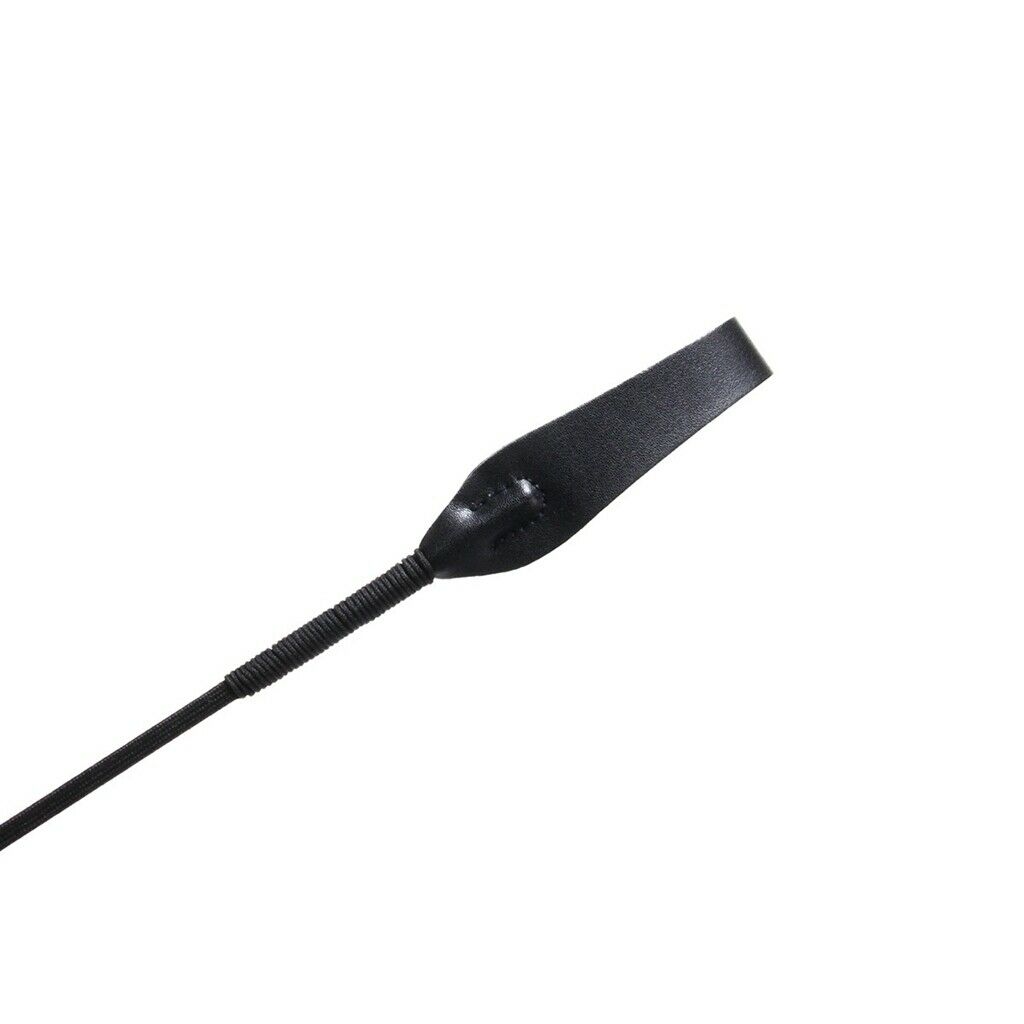 Pet Protective Equipment Training Stick