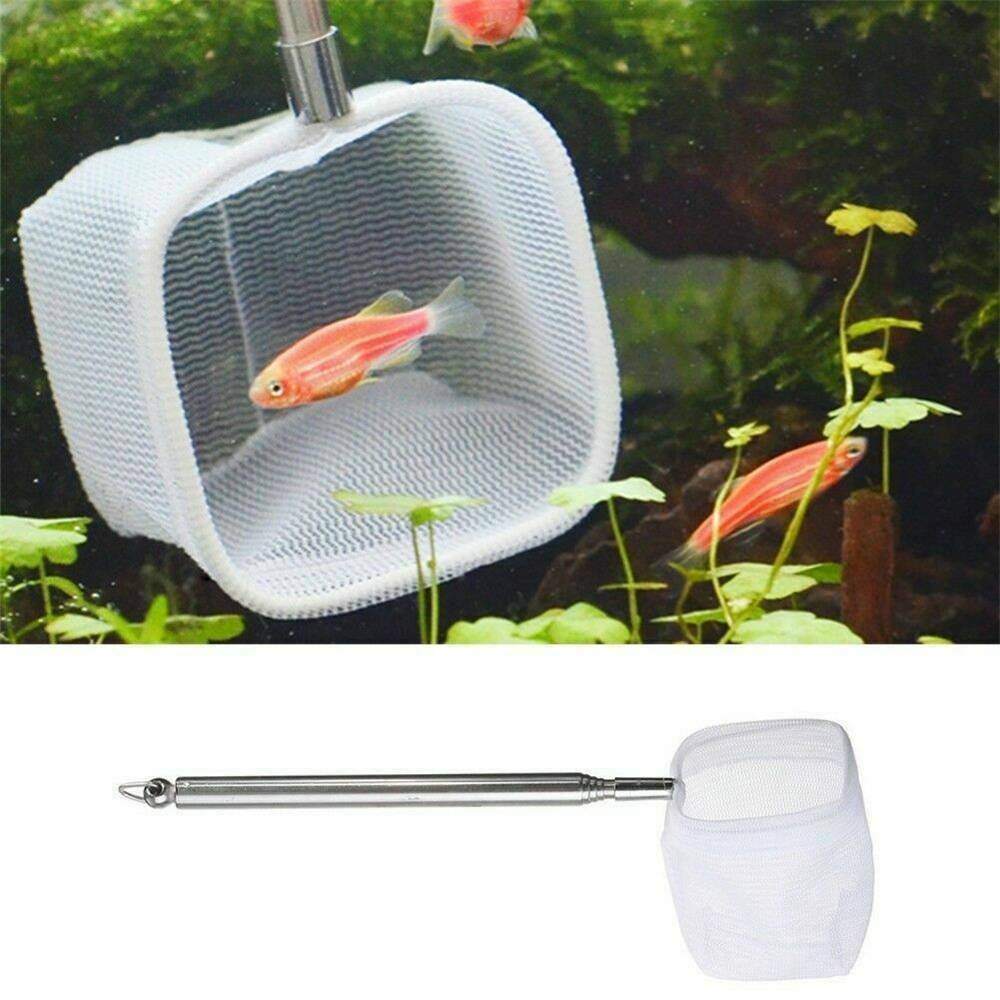 Stainless-Steel Aquarium Fishing Net Fish Tank Fish Shrimp Net Scoop Retractable
