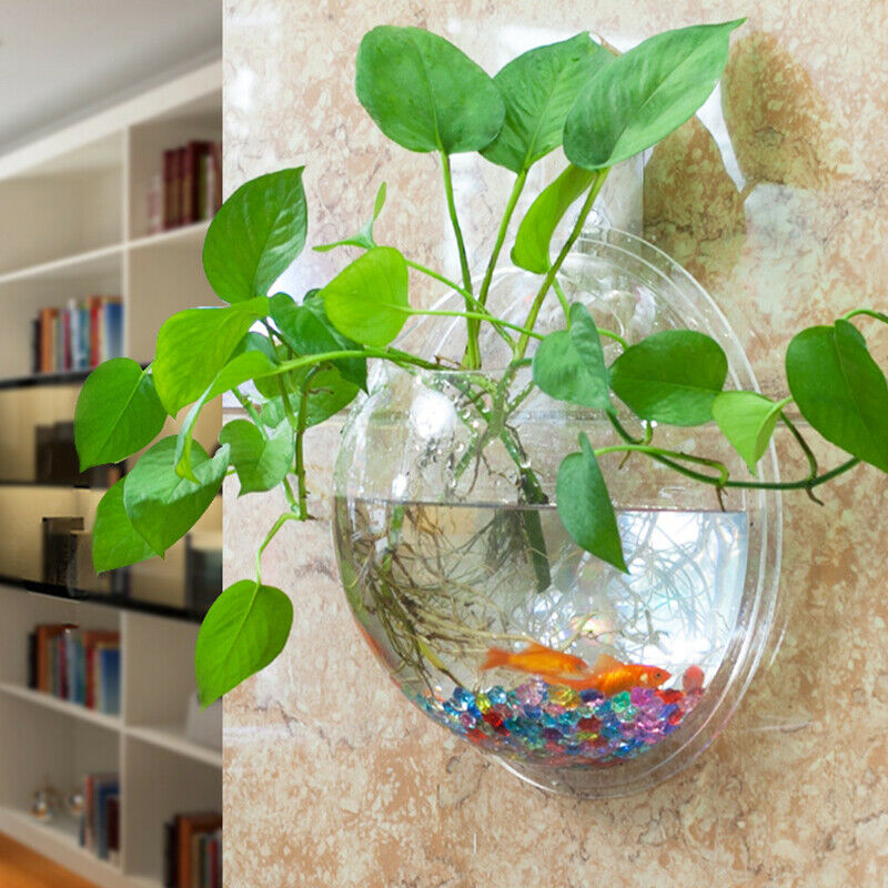 Acrylic Wall Mounted Hanging Fish Bowl Aquarium Tank Hanger Plant Home Decor
